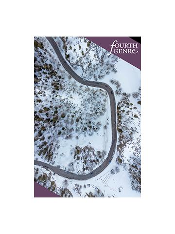 Cover of Fourth Genre